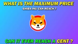 shiba inu crypto