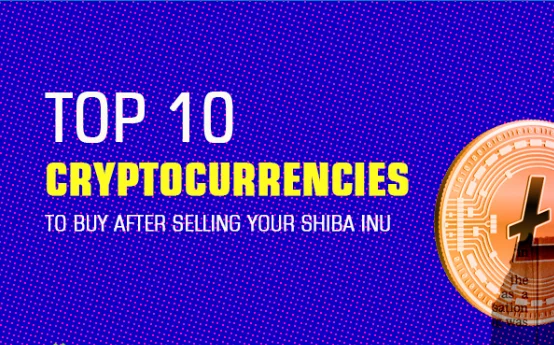 Top 10 cryptos to buy after selling Shiba INU